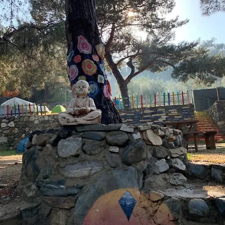 Troltunga Camping
